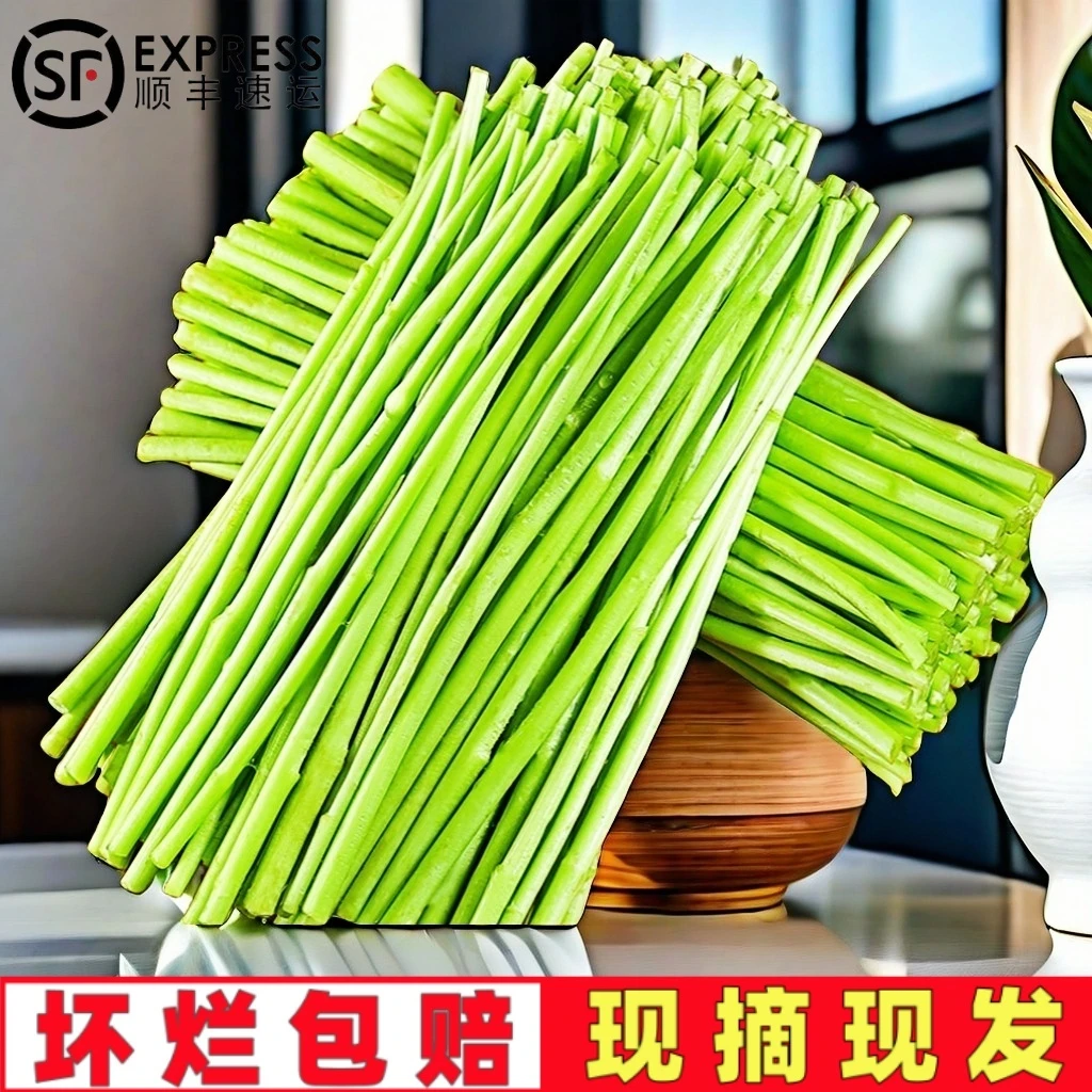 主播顺丰包邮农家现摘去叶根净菜芦蒿黎蒿藜蒿泥蒿柳蒿芽精选野菜