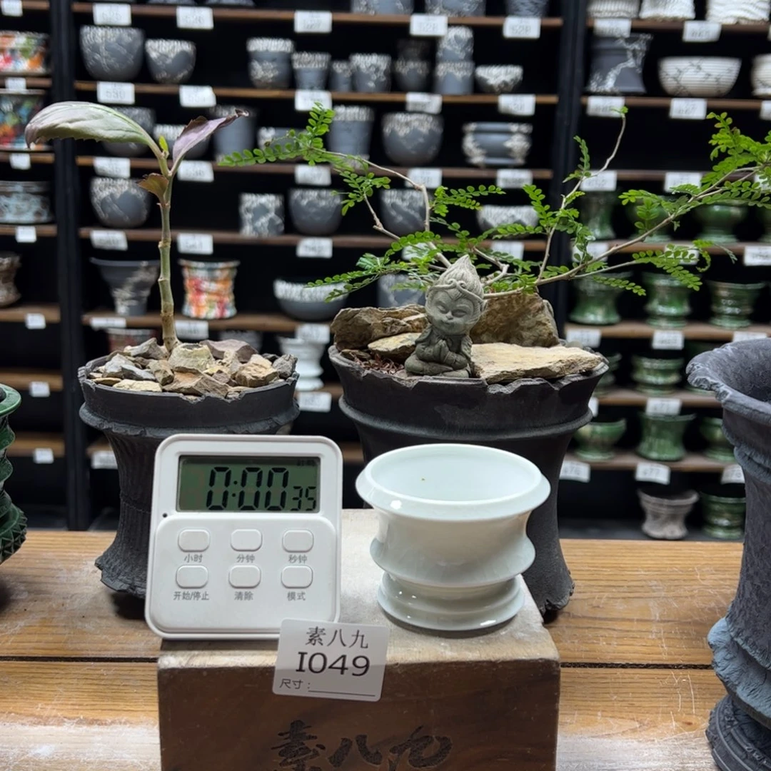 守***晶素八九陶瓷内口6.5高6