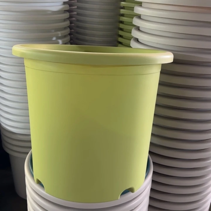 微瑕9#口径46无托果绿3个