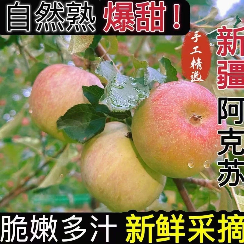 「瑕疵果」八斤新疆阿克苏苹果新疆苹果酥脆甜冰糖心苹果新鲜水果