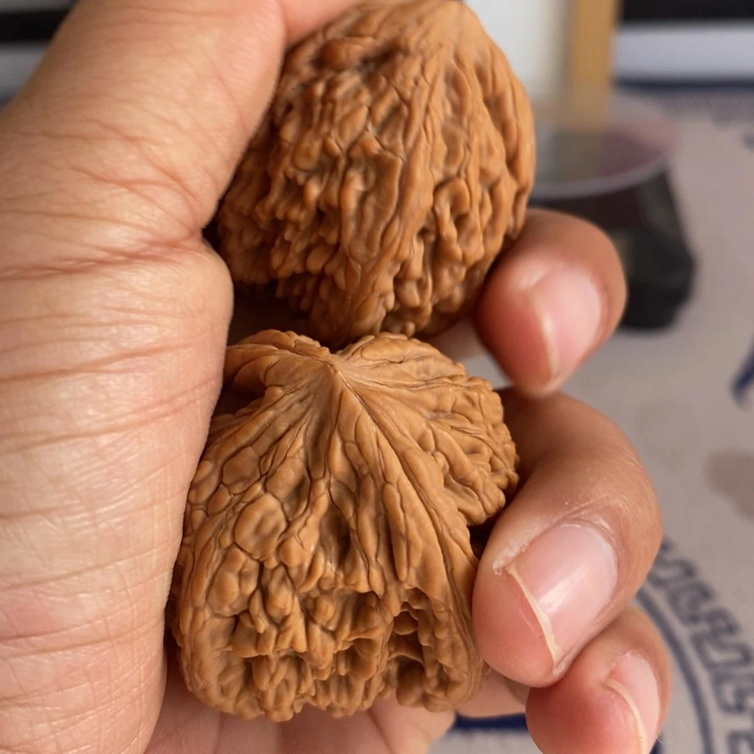 真***错大叶紫檀（黑酸枝木类）文玩核桃虎头王