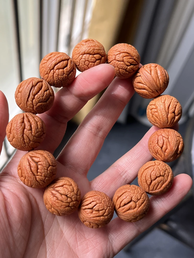 秦岭密纹龙珠