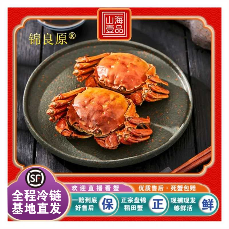 盘锦河蟹全母蟹【活蟹】2斤装 1.5-1.3两/只 盘锦稻田蟹 基地直发 顺丰包邮 死蟹包赔