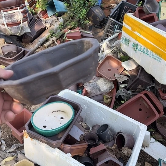 是因为她太喜欢了所以还是觉得