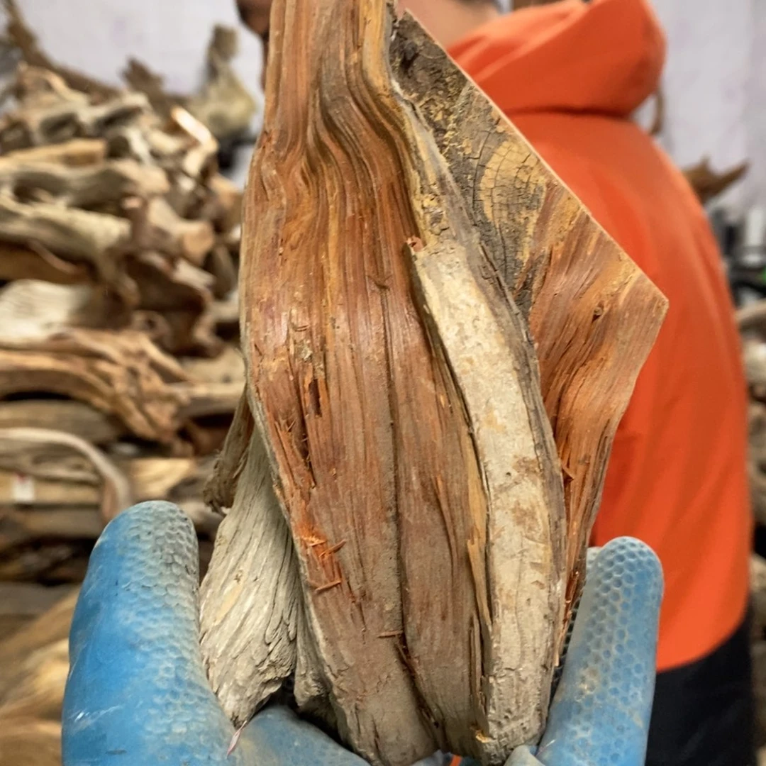 柏木B****B我们都是好孩子