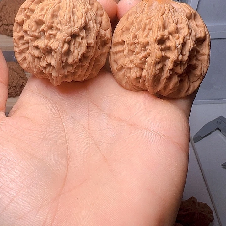 粗筋虎头麦虎，尺寸45