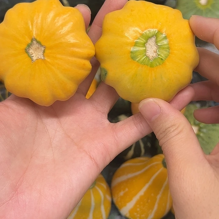 墨*墨西哥葫芦葫芦葫芦好葫芦