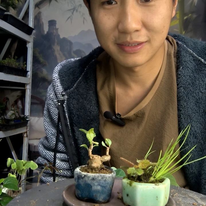小*中青园艺一物一拍26