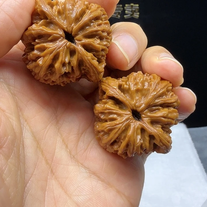 抖***叔桃核把件全品延庆狮子毛虎头王文玩核桃