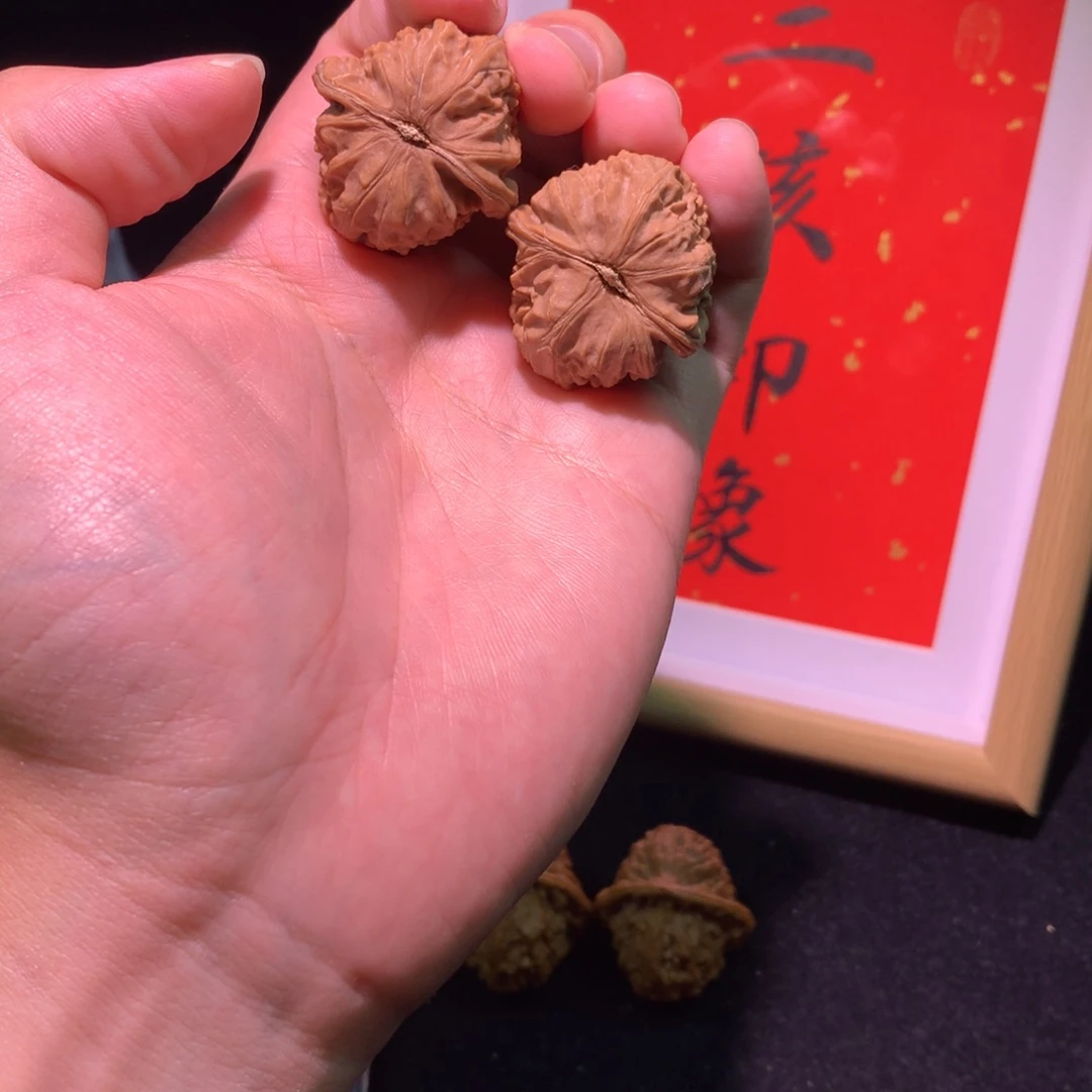 一***考文玩核桃把件白狮子全品无修31尺