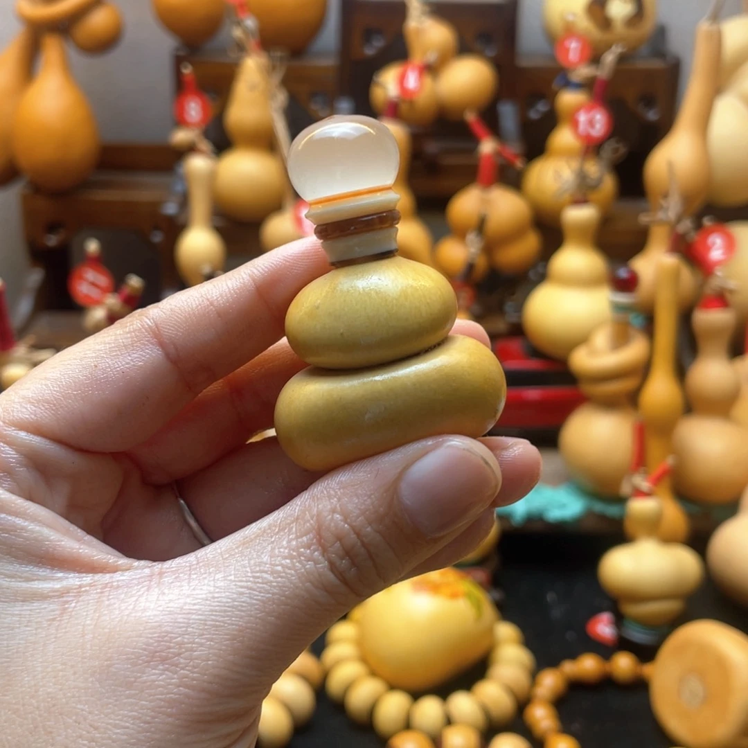 B**D大自然的秘密第十一节人类与自然