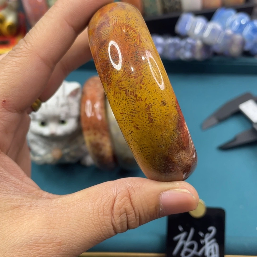 未镶嵌手镯硅化玉