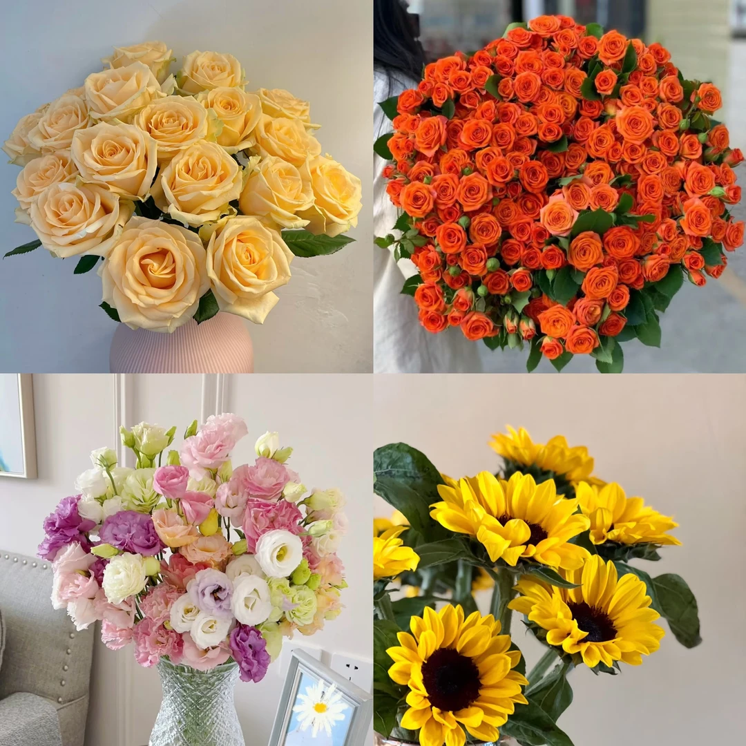 【云南鲜花组合】香槟+橙色芭比+洋桔梗+向日葵+非洲菊+配草