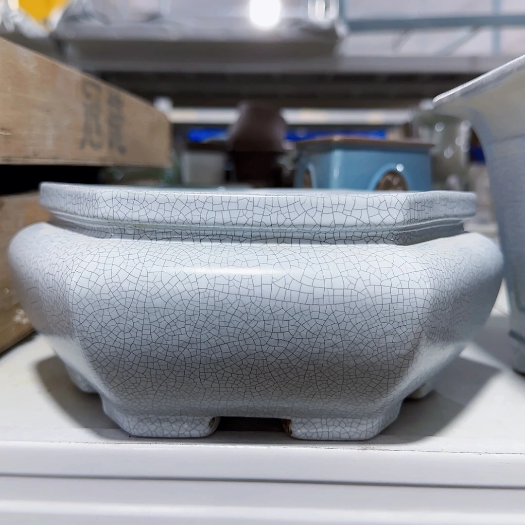 陶瓷花盆特价上新