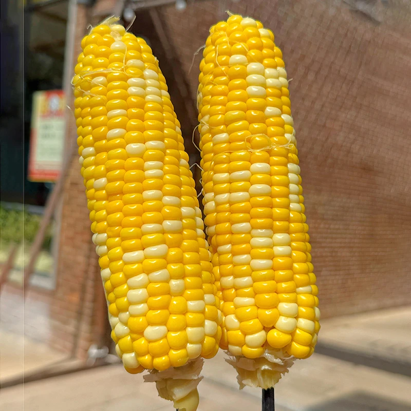 【坏果包赔】云南新鲜金银双色水果玉米现摘现发清甜带皮带壳带须