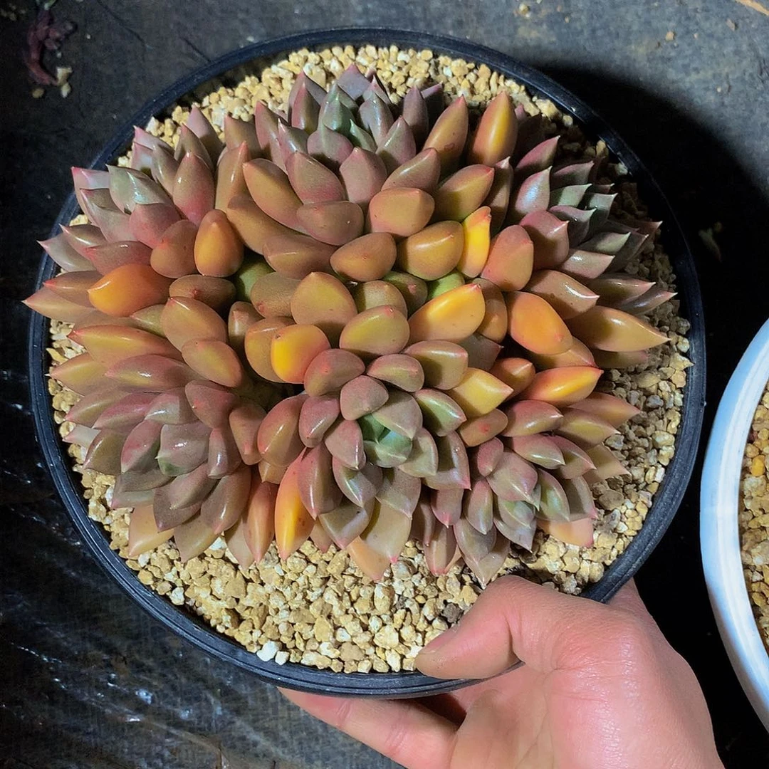 妞*哈哈哈哈哈哈哈哈哈哈哈