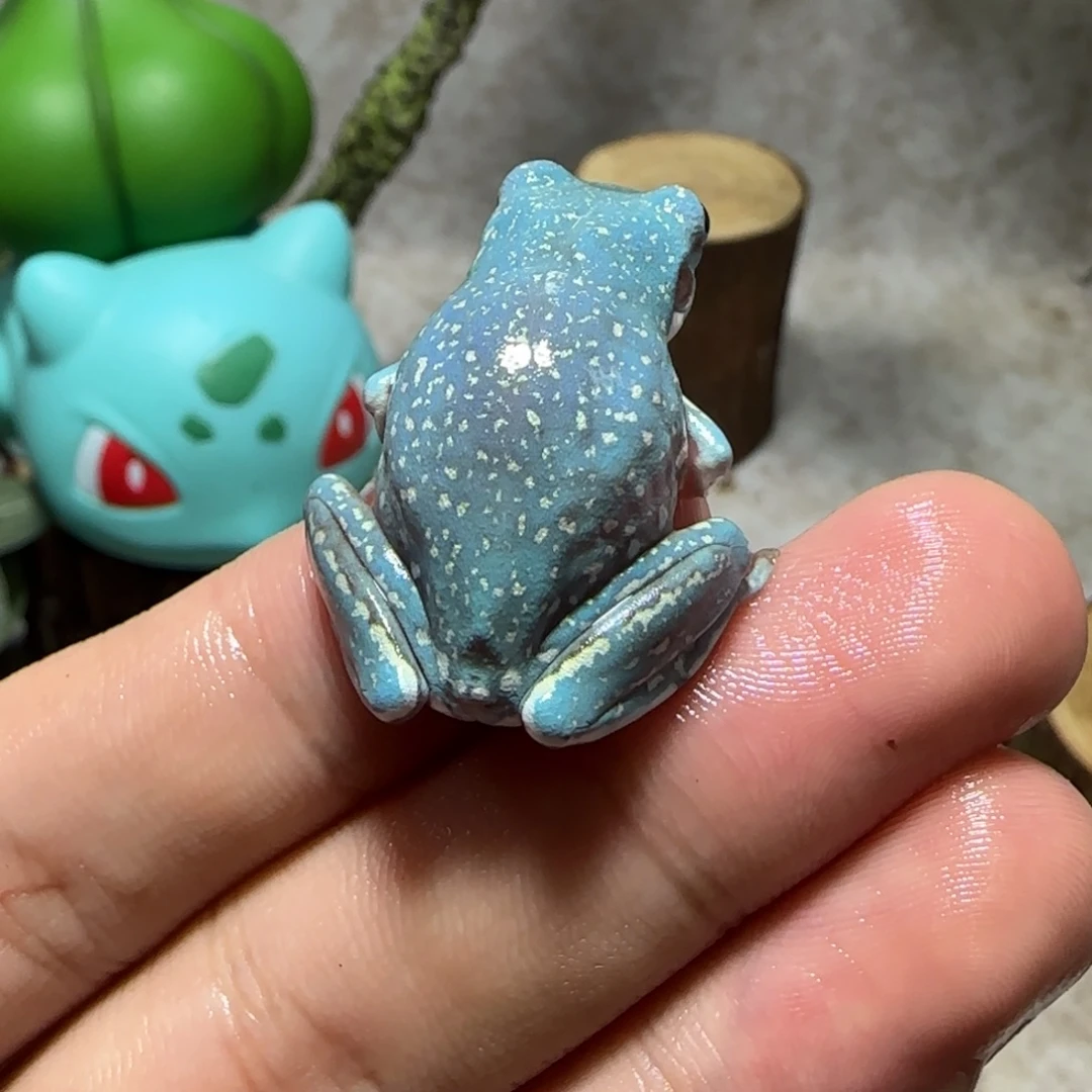 老爷树蛙2 魔鬼蓝暴雪