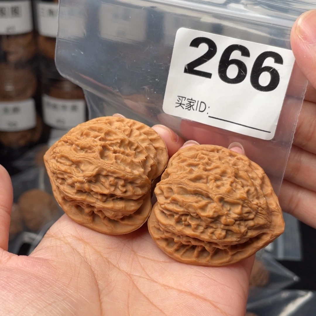 全品41金牛41金牛