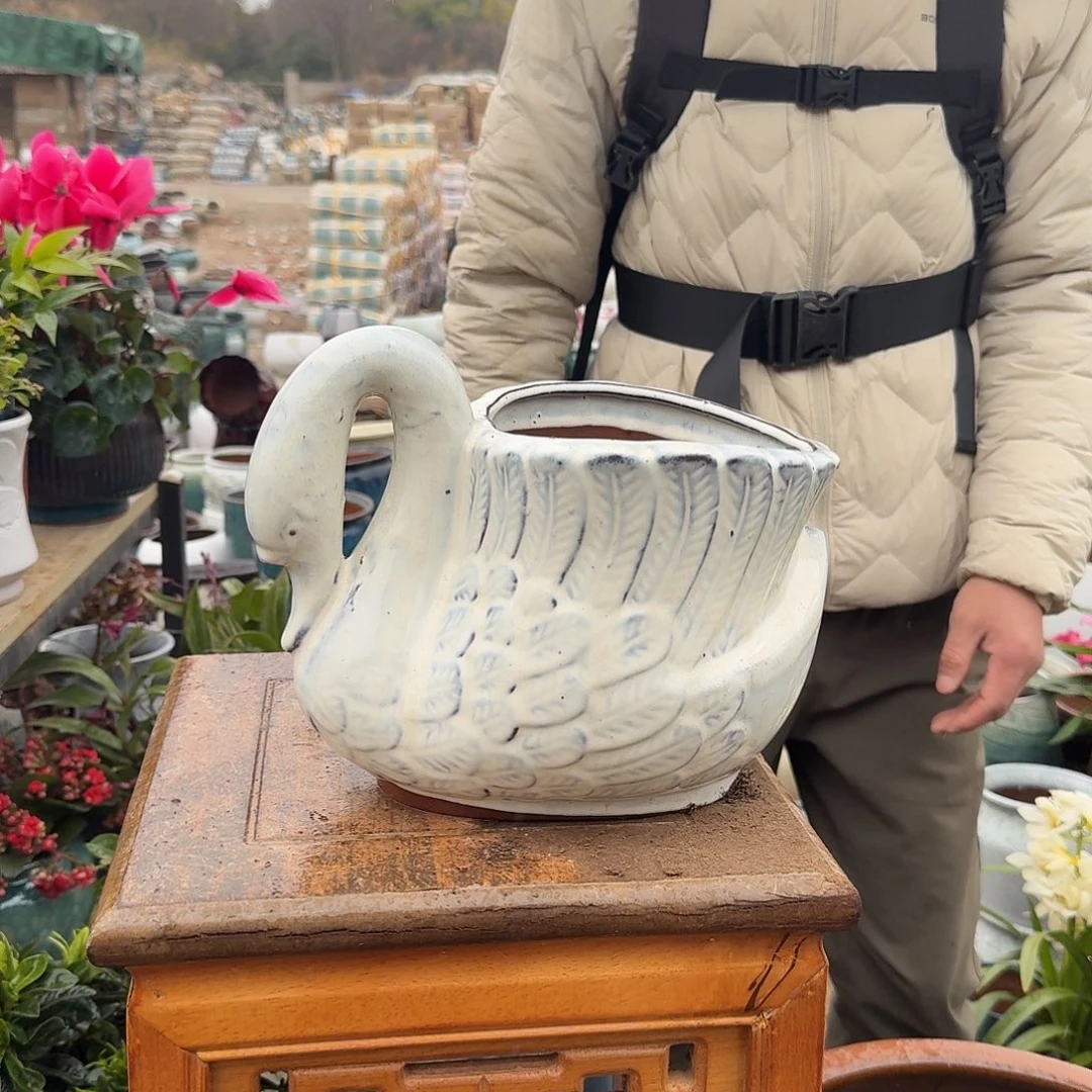 紫砂花盆口18高18（一个鹅白色大号