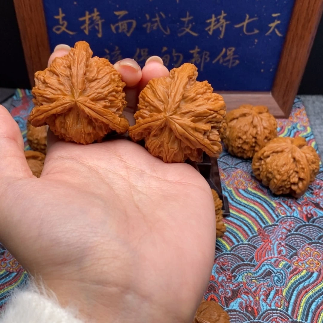 【闪购商品】慢***茶白狮