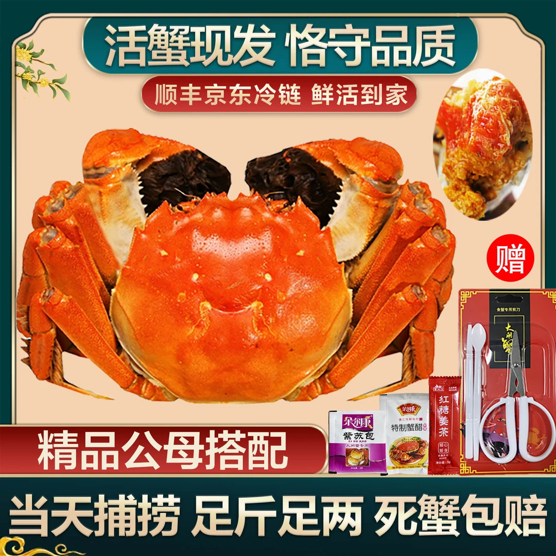 【苏州金标活蟹】公蟹4.0-3.7两/母蟹3.0-2.7两  多送2只到手共6-12只 鲜活大闸蟹精品蟹 鲜活现捞