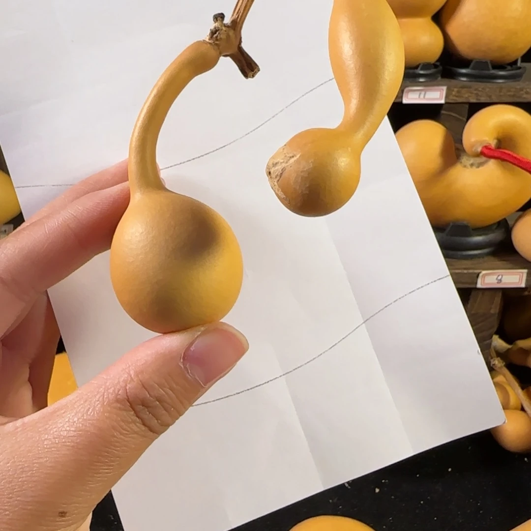 泡***弟葫芦葫芦葫芦葫芦葫芦