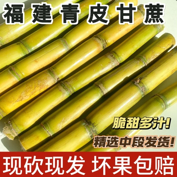 秋冬应季新鲜青皮甘蔗原产地现砍现发好去皮肉脆清甜精选坏果包赔