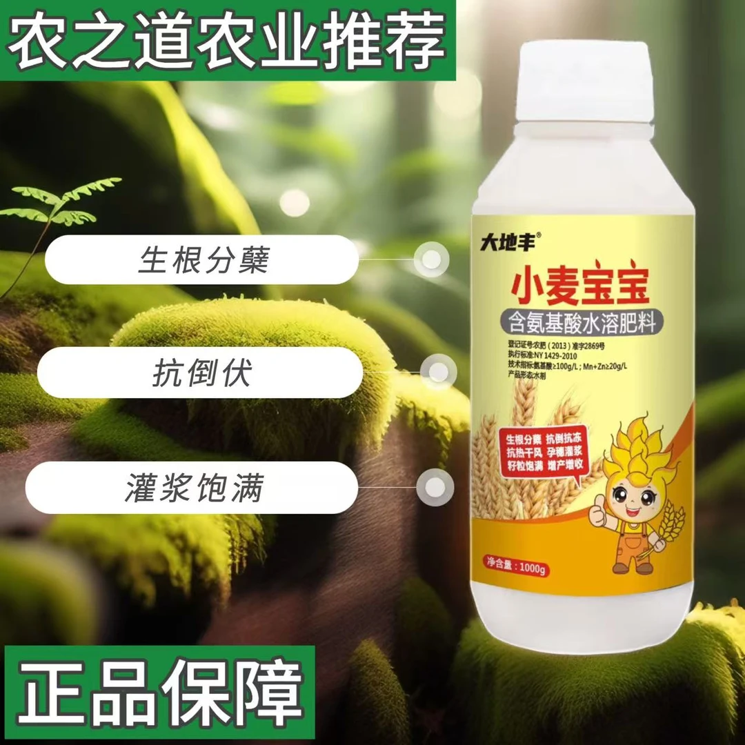 小麦专用增产肥料小麦宝宝叶面肥抗倒伏抗旱促分蘖壮苗籽粒饱满