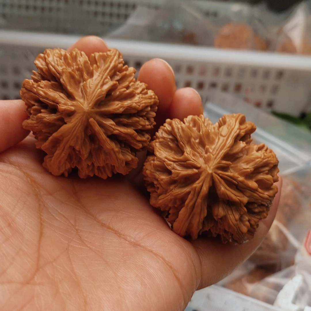 文玩核桃把件花王42尺