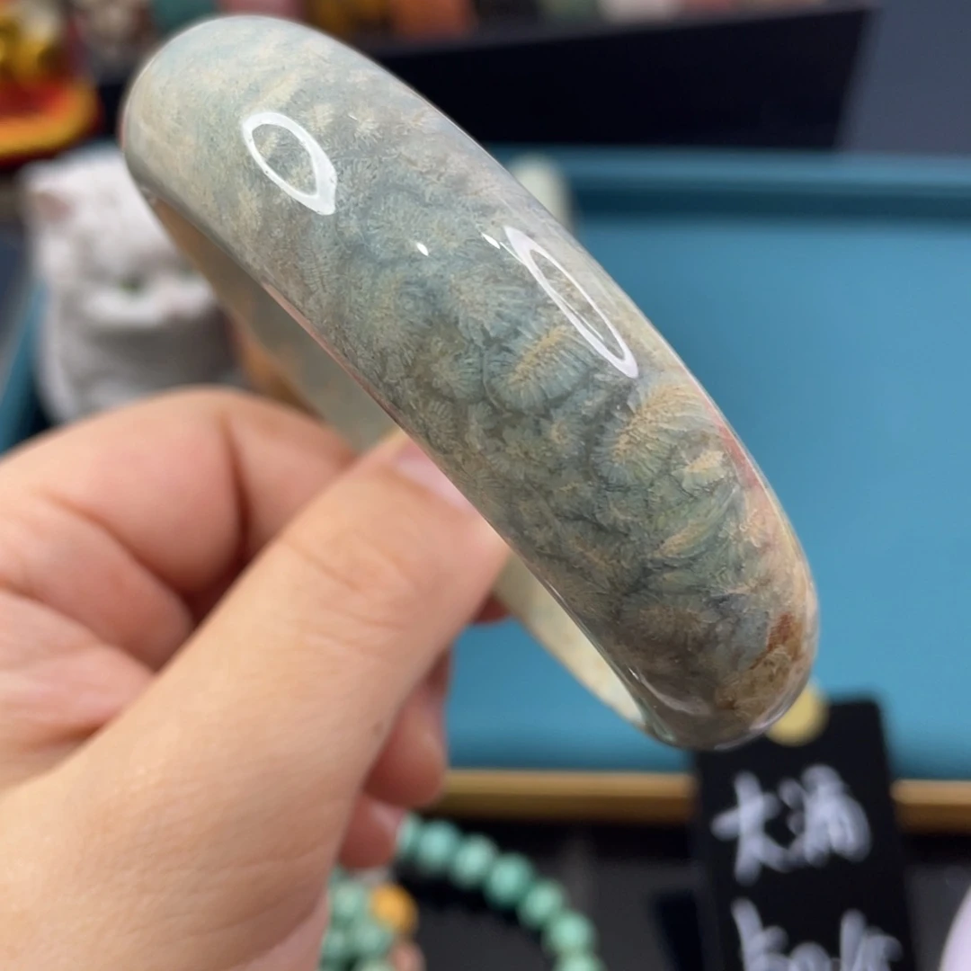 未镶嵌手镯硅化玉