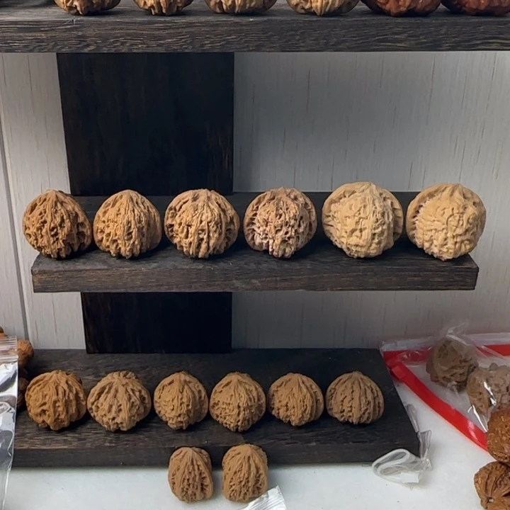 零***逸大叶紫檀（黑酸枝木类）