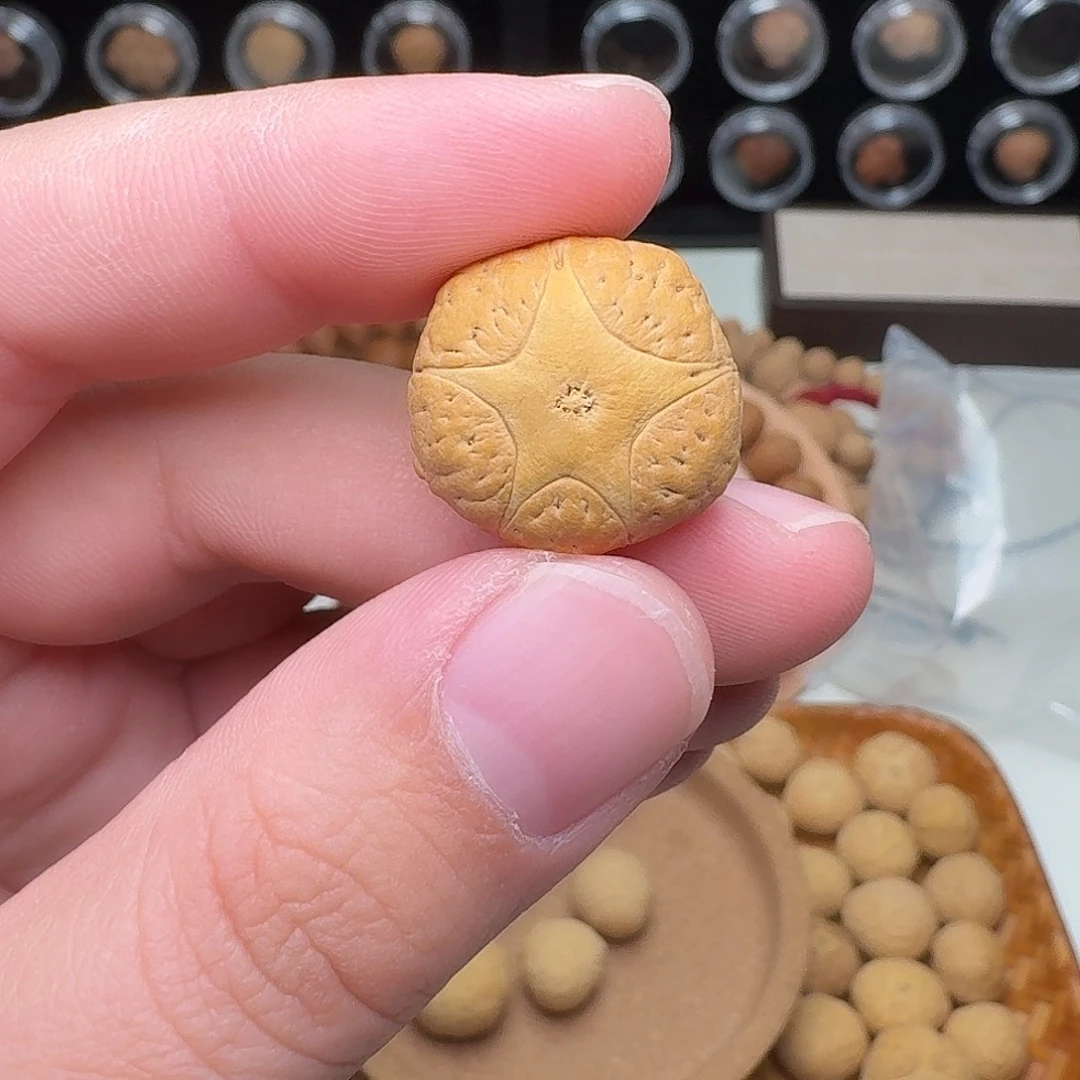 渐***远凤眼菩提吊坠五星三通