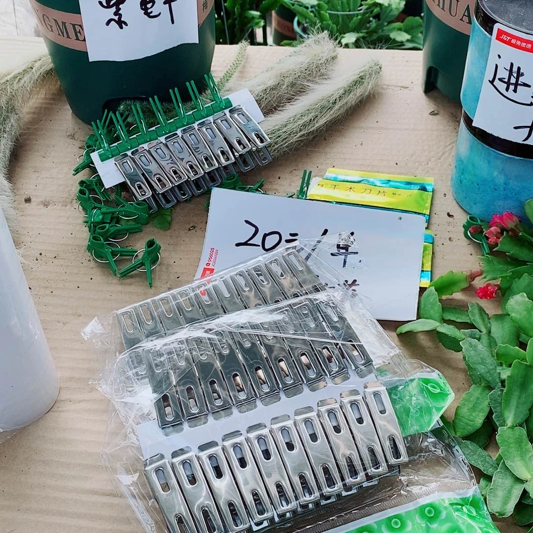 武***香无花朵铁夹子4袋福利