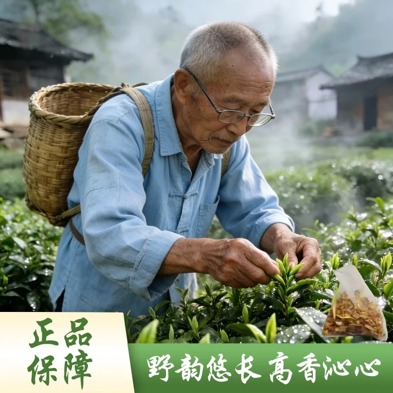 拍一发二-1-AJ-[1号嗏]野韵悠长 育苗