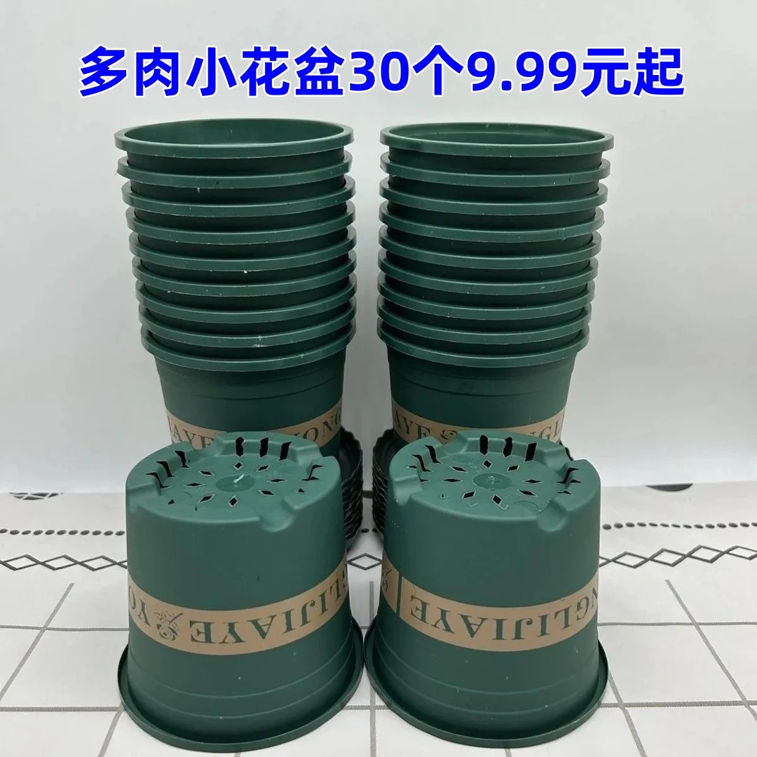 多肉加仑花盆扦插育苗绿萝月季玫瑰花小花盆