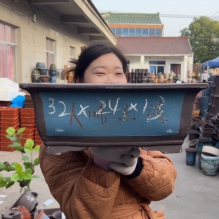 31蓝马槽花盆花盆花盆花盆