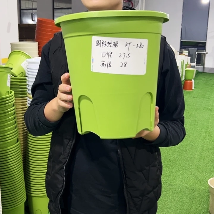 正品圆控口27.5高27.5白色5只带托