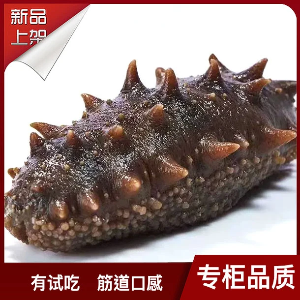 【头茬秋参】鲜食海参 4-10头Q弹口感  品质款