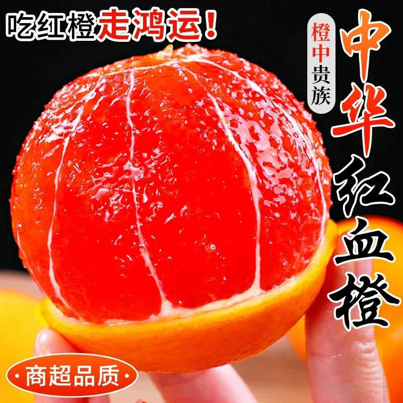 【中华红血橙】新鲜采摘现摘现发爆甜多汁