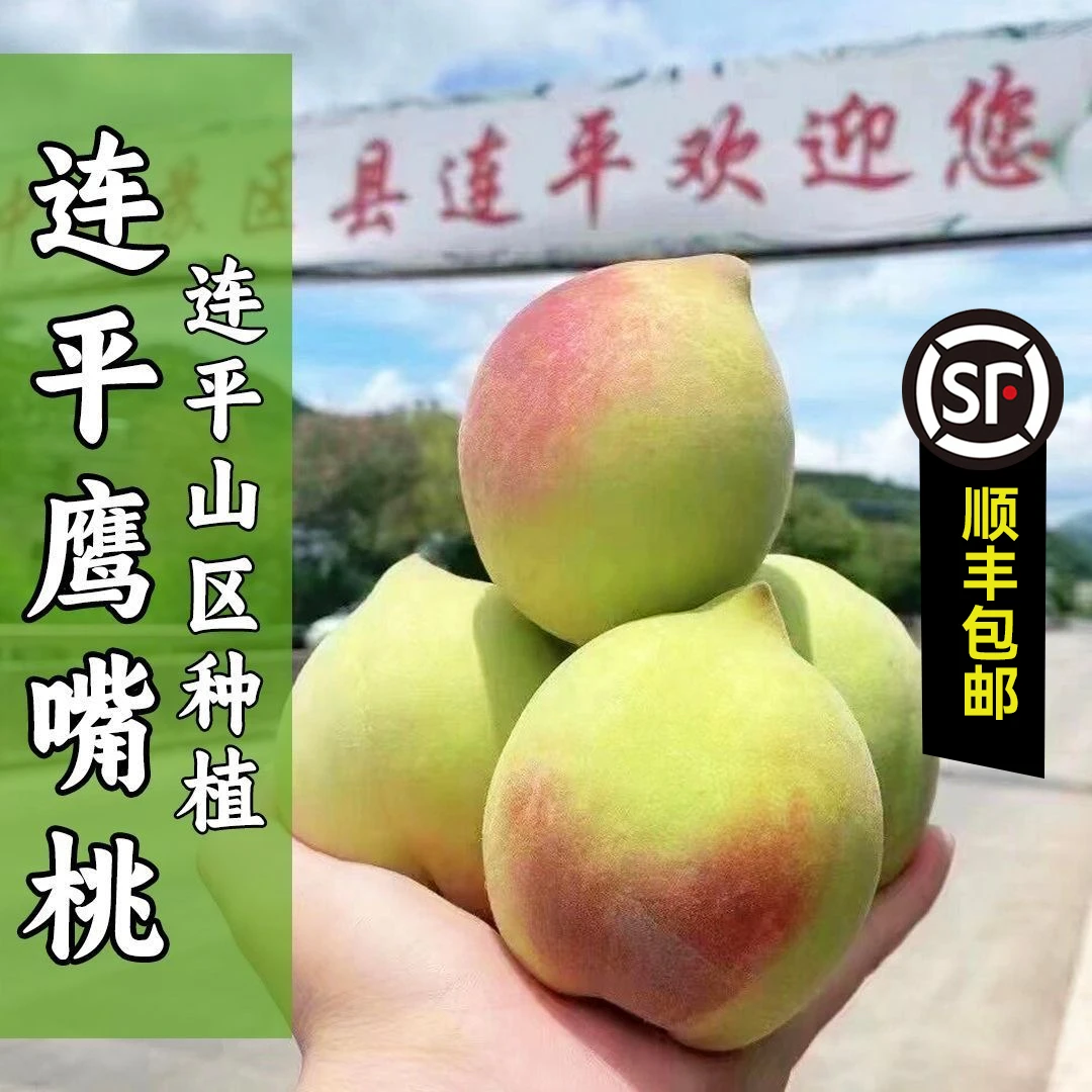 【正宗上坪鹰嘴桃】正宗广东河源上坪鹰嘴蜜桃脆甜5/8斤顺丰包邮