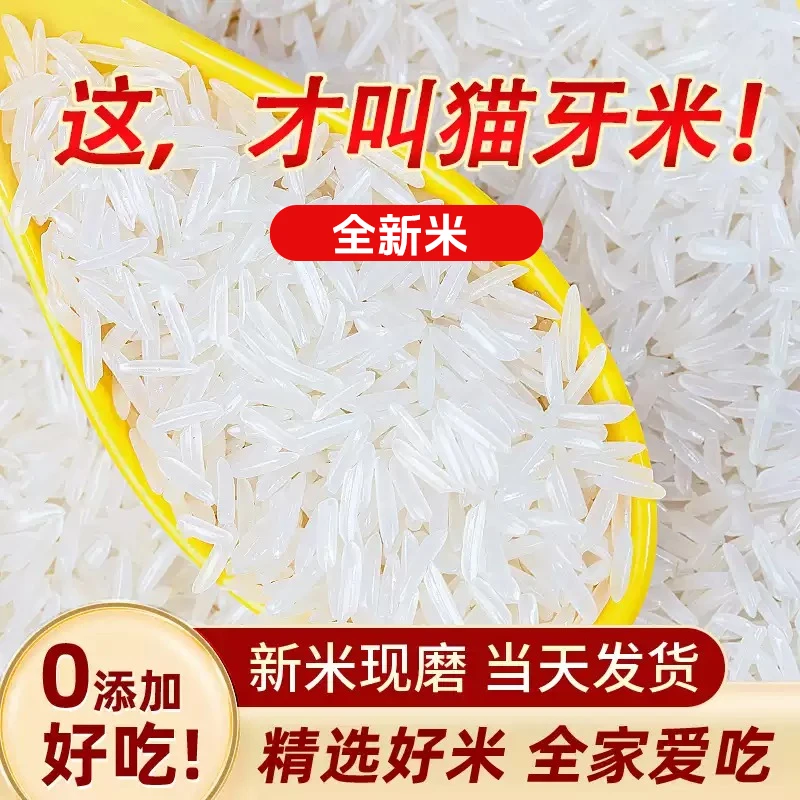 金特莱高山长粒香炒饭猫牙米煲仔饭长粒大米高品质江西南方大米