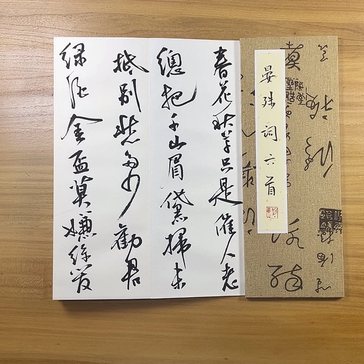 书法中书协会员作品