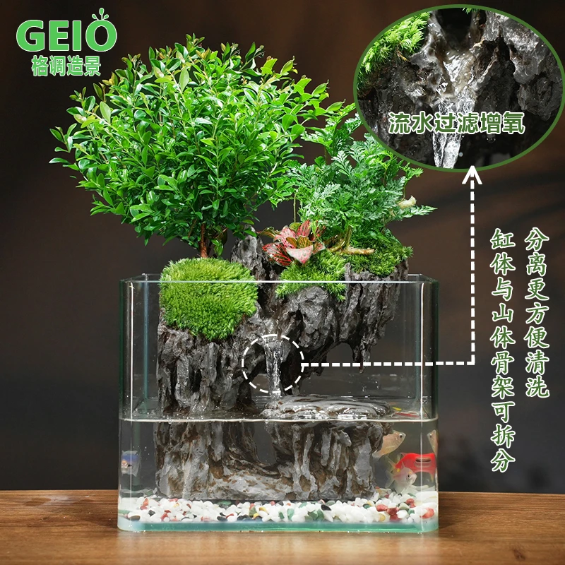 【福龟之境】成品微景观生态苔藓绿植室内桌面造景植物20*14*16cm