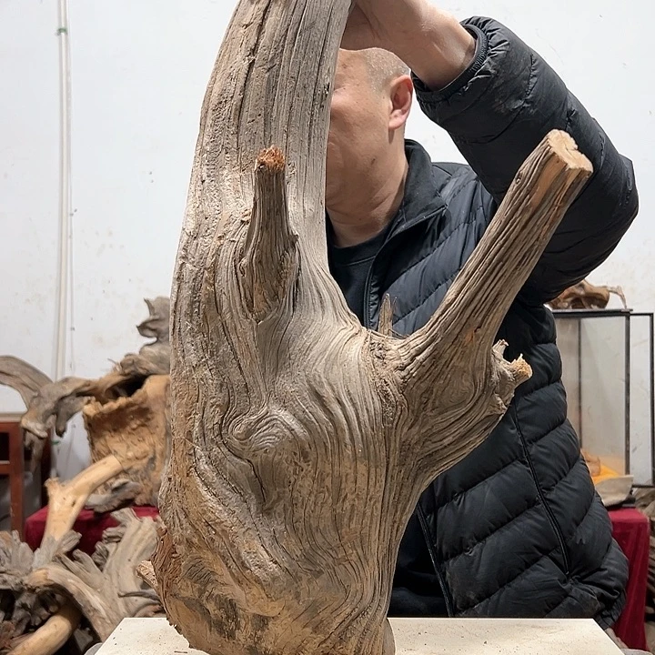 柏木柏*我们都是好孩子呀我也