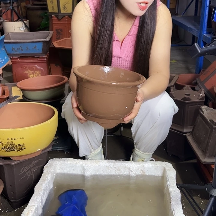 素面小马查林21花盆花盆花盆花盆