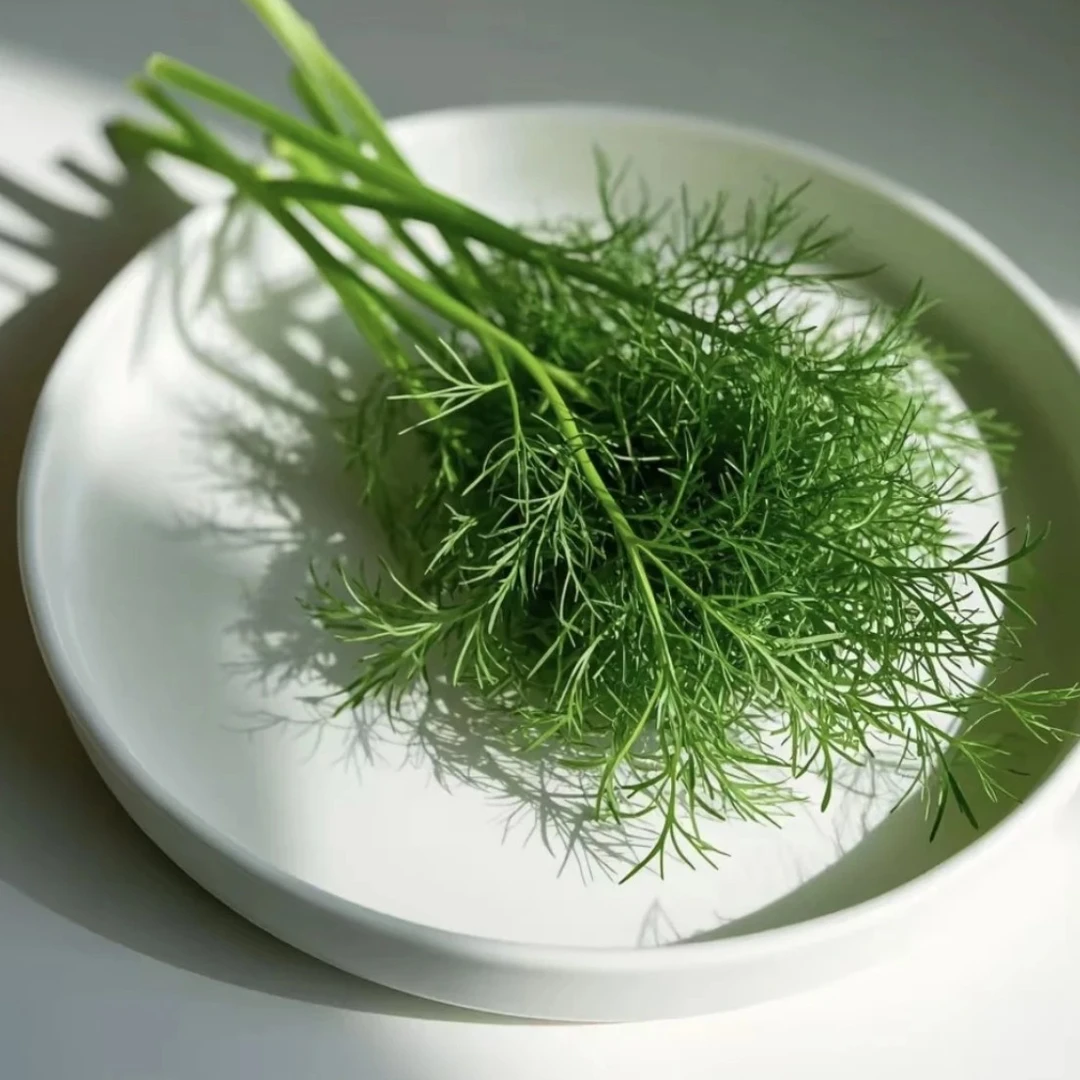 北京本地嫩茴香两斤 0农残 有机生态种植茴香