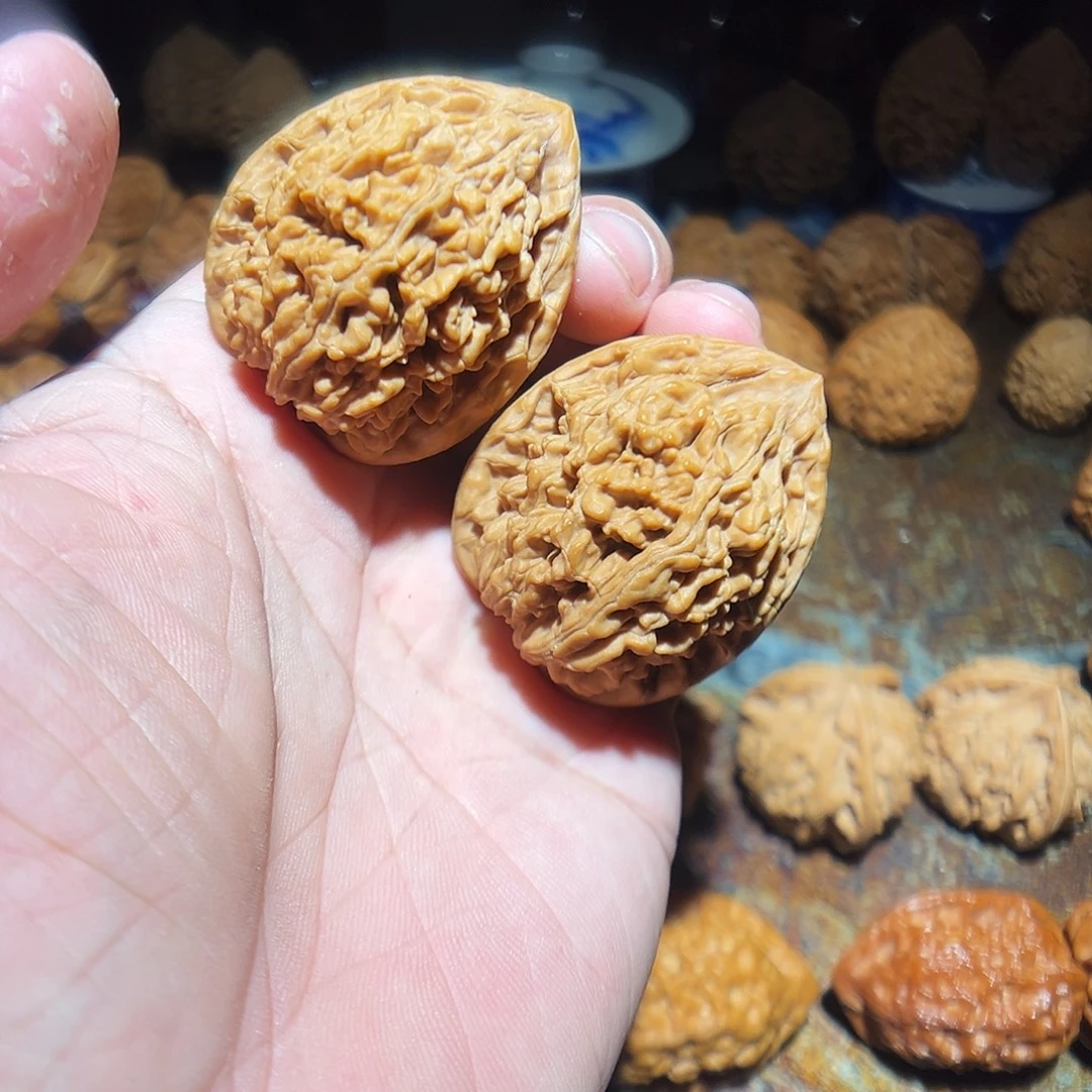 尐***头文玩核桃把件50克蚂蚁王