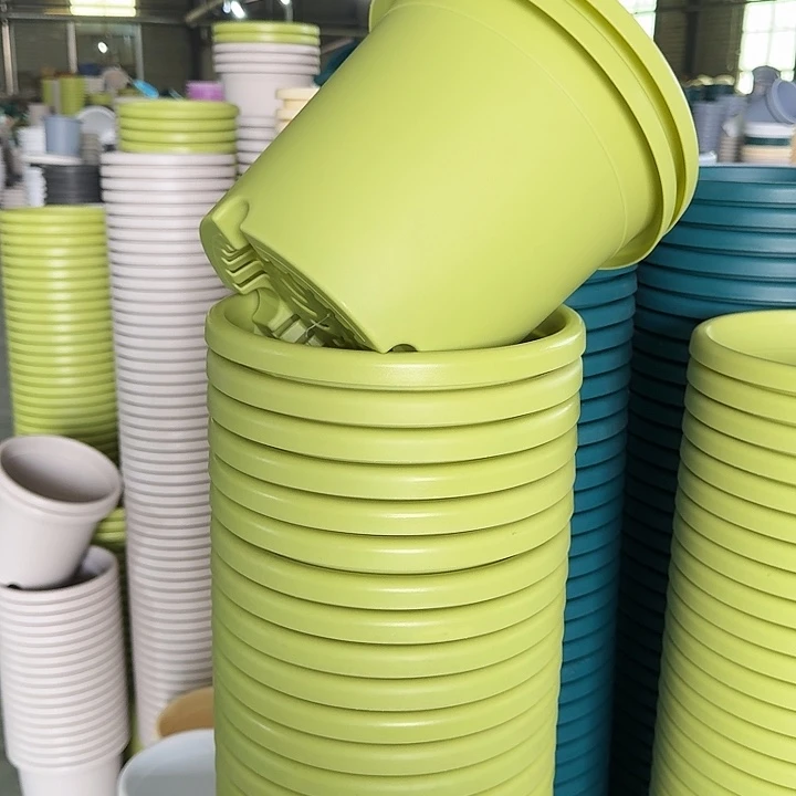 四季4#口径25果绿10个无托