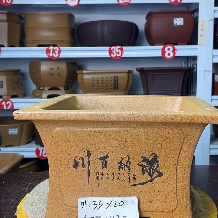 紫砂花盆你在一起