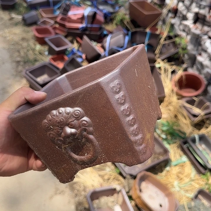这就是为什么不可以说呢